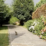 Casa Nogueiras Chalet Armamar