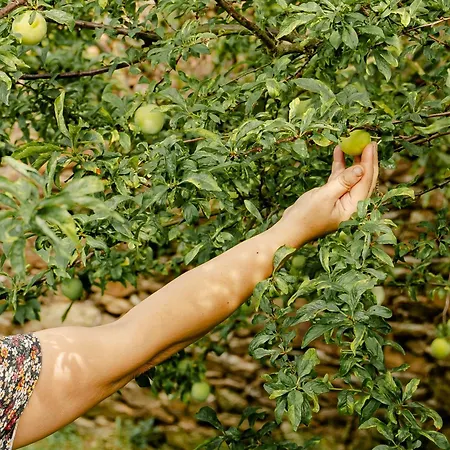 Casa Nogueiras Alpstuga