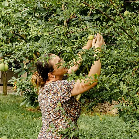Casa Nogueiras Alpstuga *