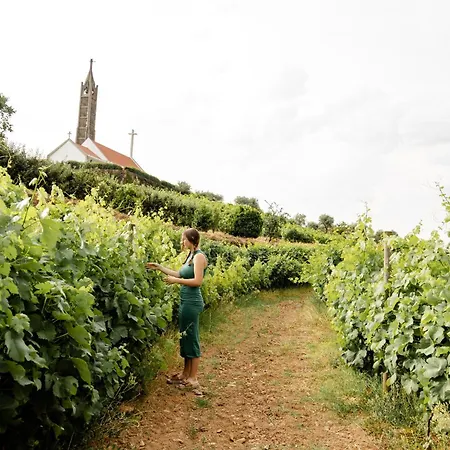 Casa Nogueiras Armamar