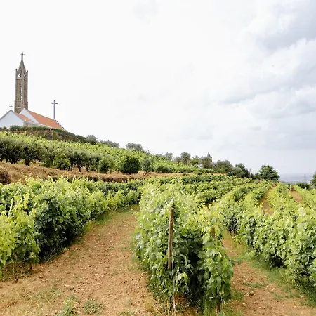 Casa Nogueiras Domek alpejski *