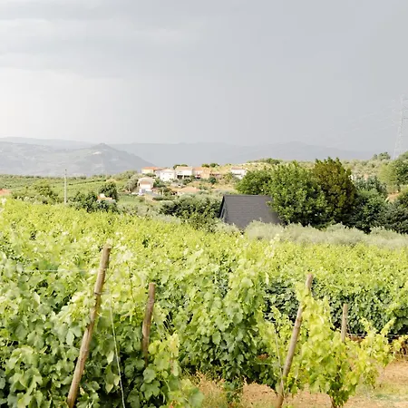 Domek alpejski Casa Nogueiras *