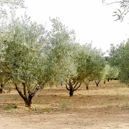 בקתה Casa Nogueiras ארממר