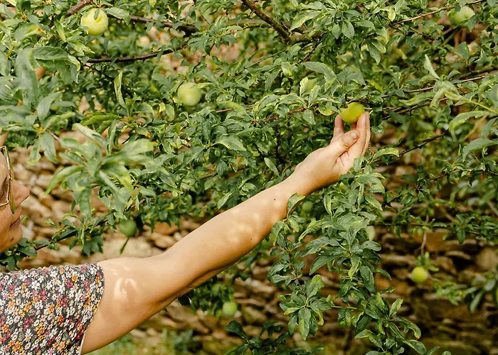 Casa Nogueiras Alpstuga