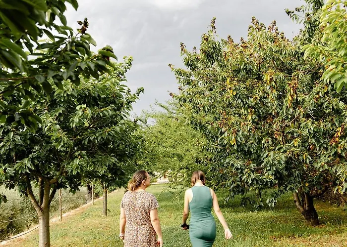 Casa Nogueiras Alpstuga