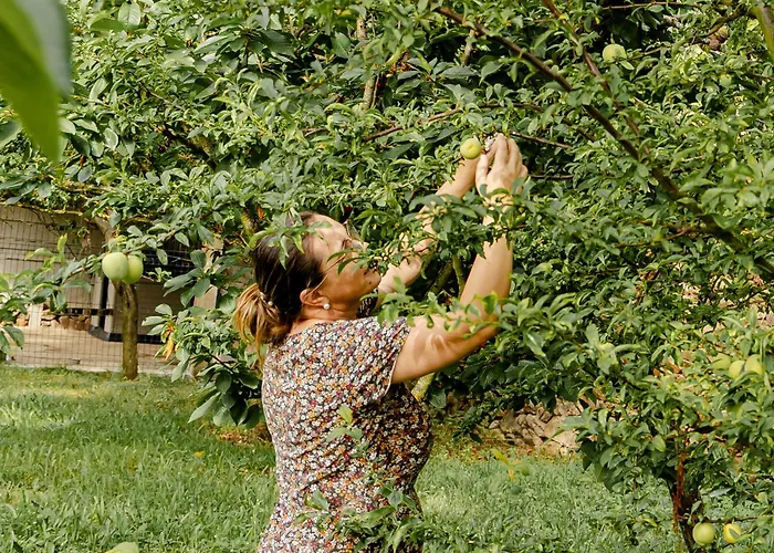 Casa Nogueiras Alpstuga *