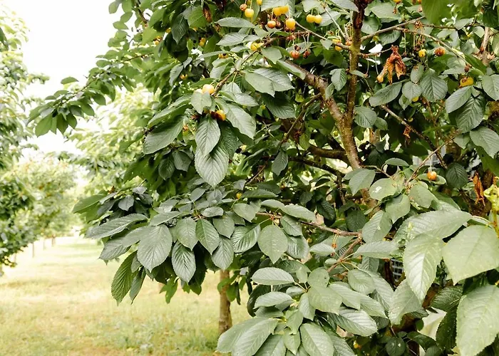 Alpstuga Casa Nogueiras *