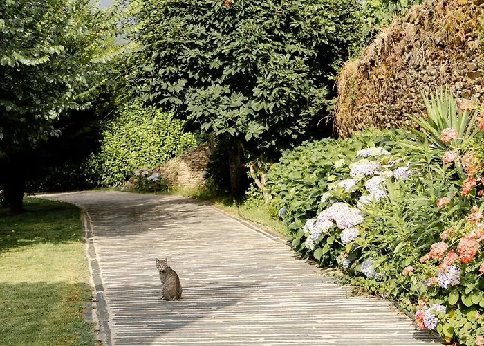 Casa Nogueiras Alpstuga Armamar