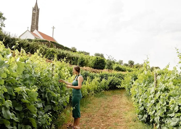 Casa Nogueiras Armamar