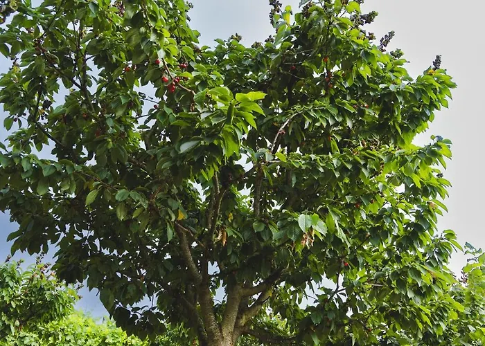 Alpstuga Casa Nogueiras