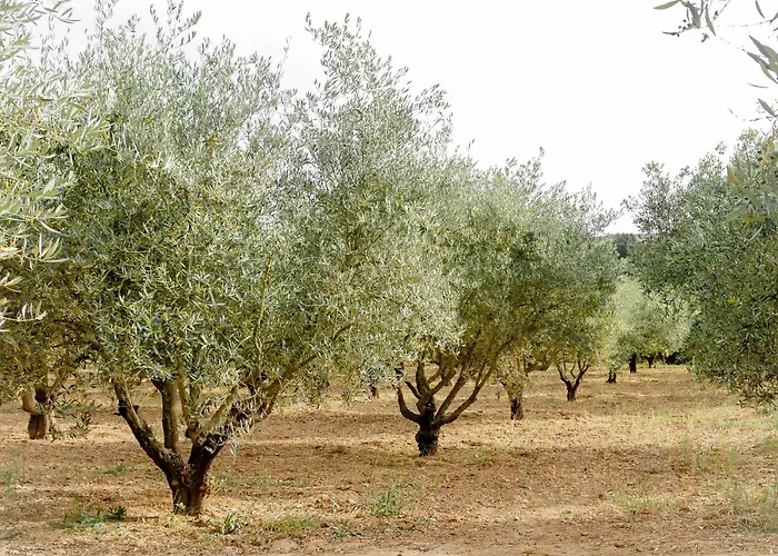 Alpstuga Casa Nogueiras Armamar