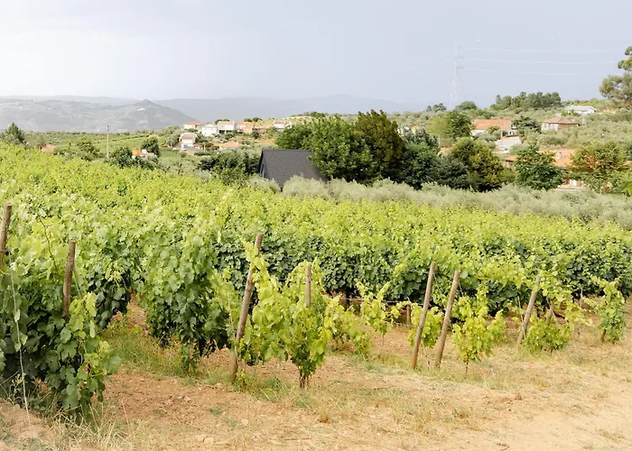 Casa Nogueiras Armamar