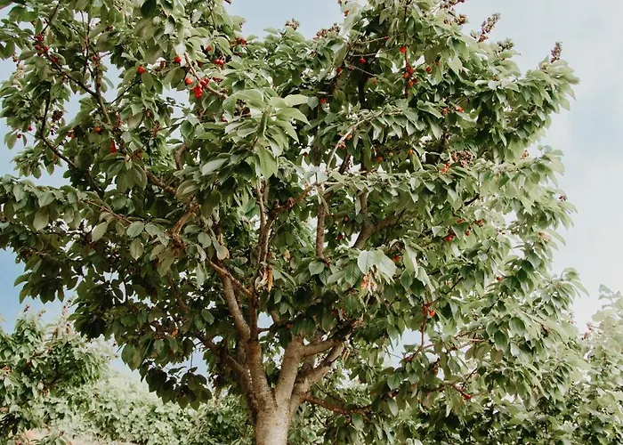 Casa Nogueiras Alpstuga *