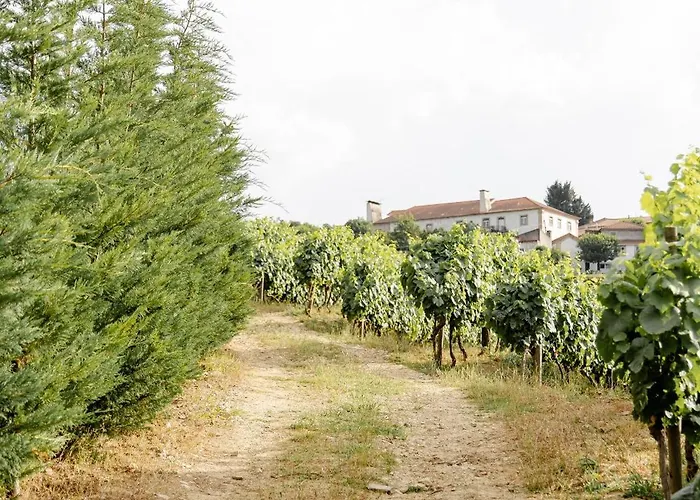 Casa Nogueiras Alpstuga Armamar